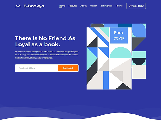 landing Mailchimp